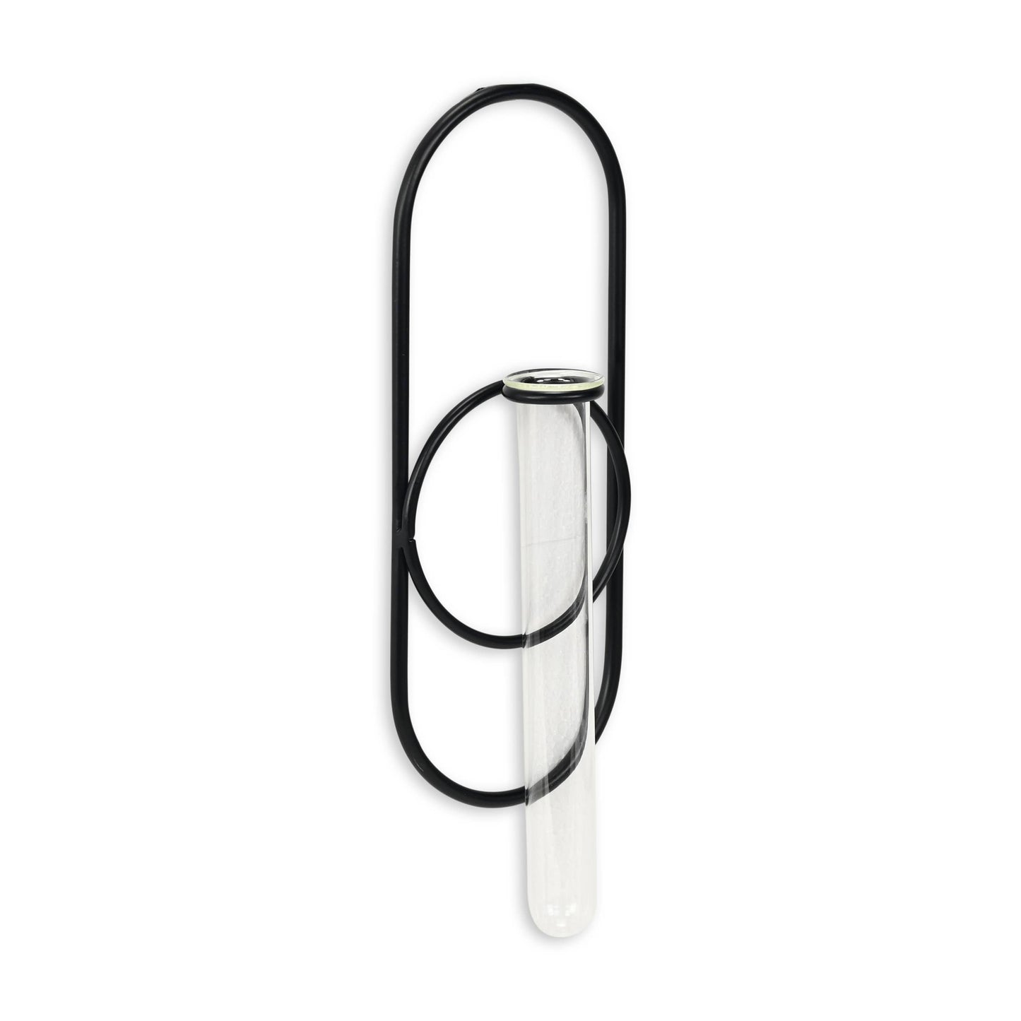 Sephra Metal Loop Glass Wall Planter: Black