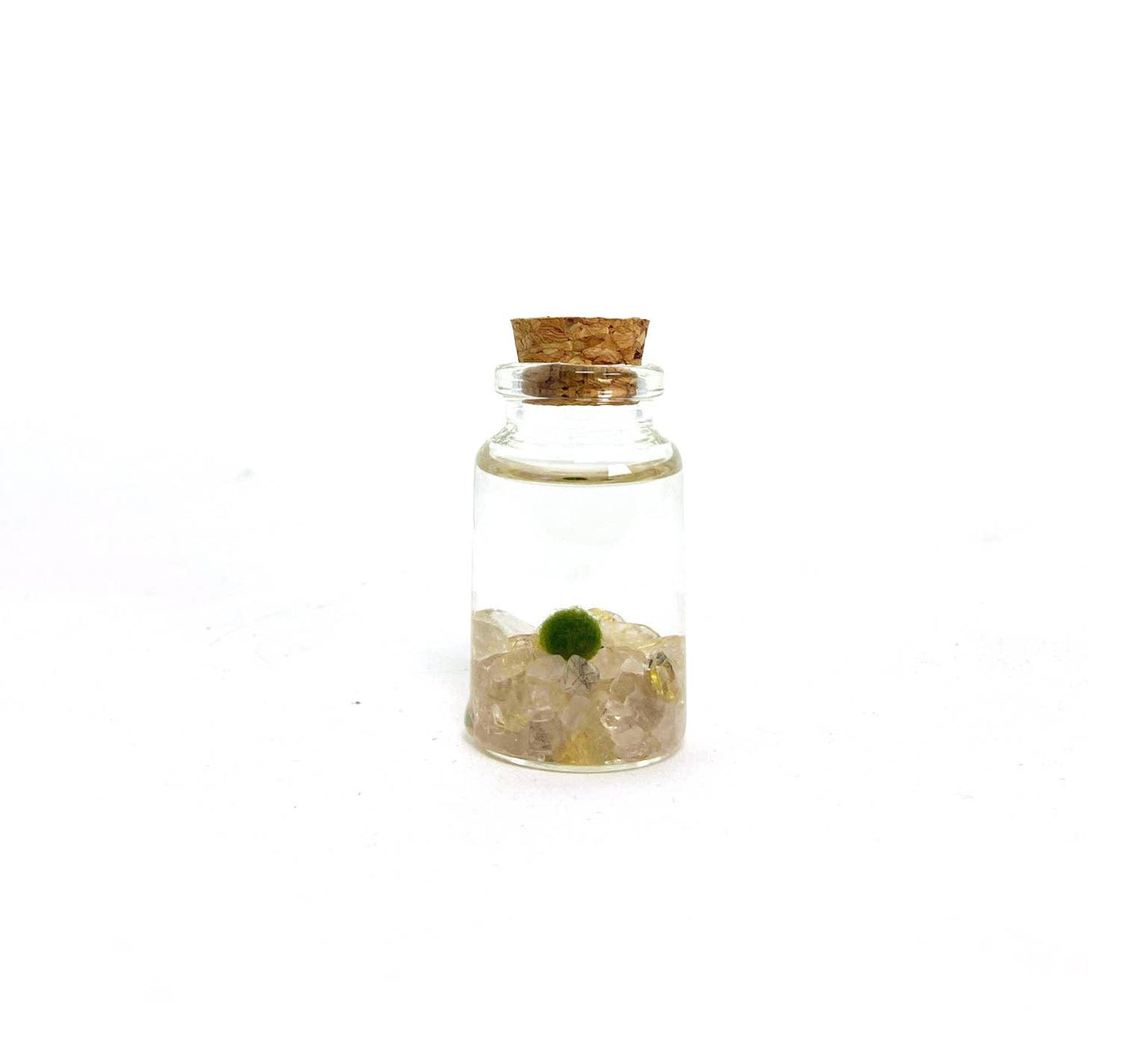 Tiny Marimo Moss Ball Terrarium with Golden Quartz Gemstones: Single
