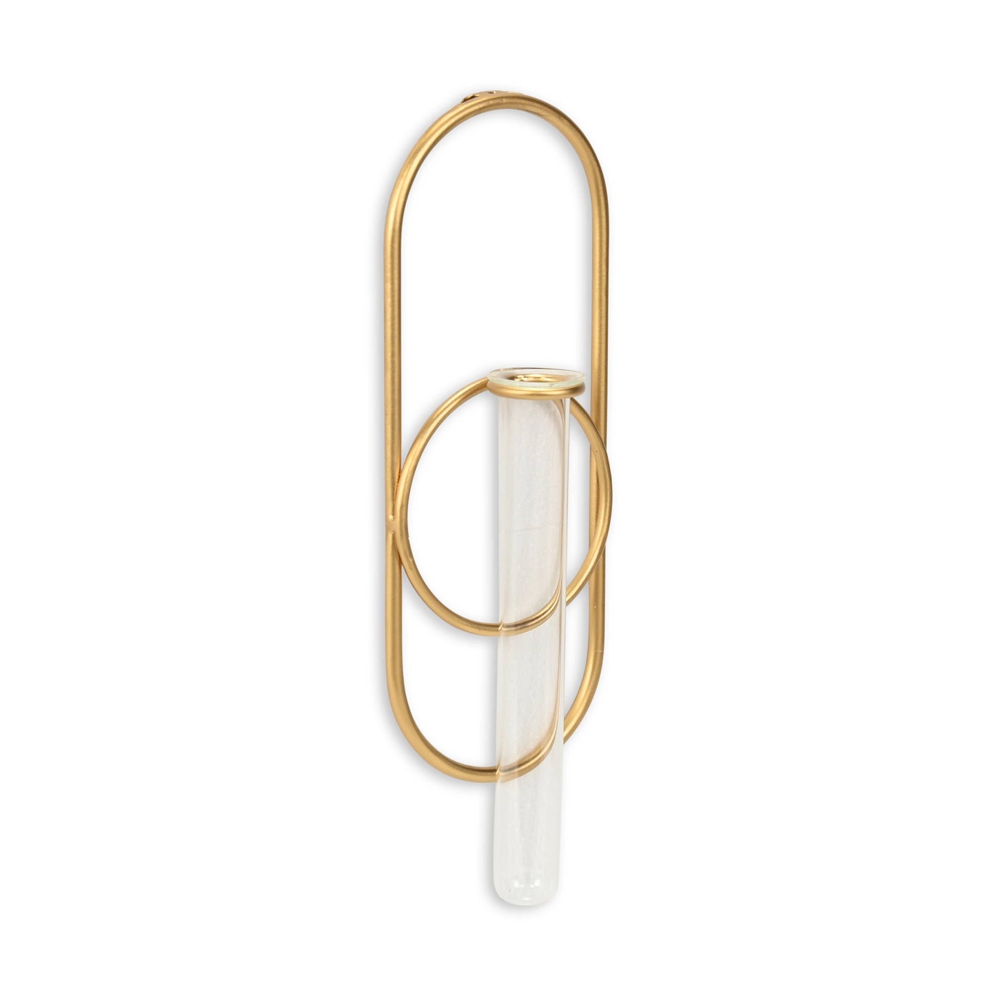 Sephra Metal Loop Glass Wall Planter: Black