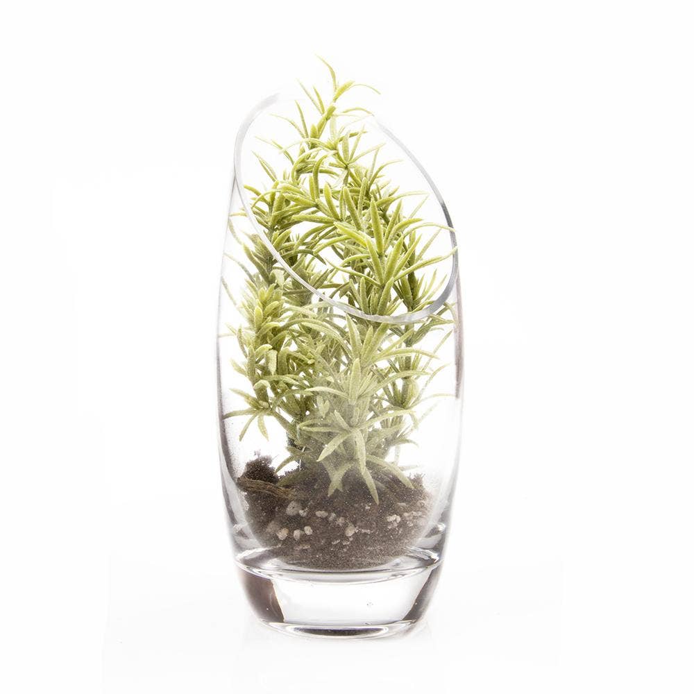 Clear Glass Terrarium Bowl For Succulents And Cactus: Large