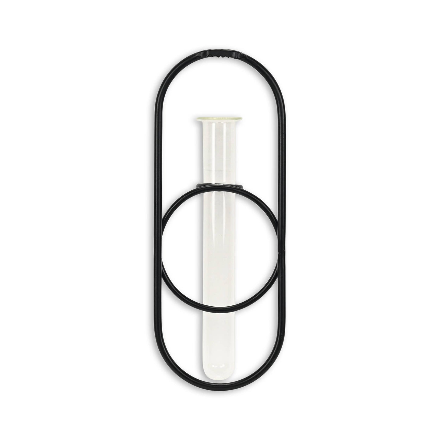 Sephra Metal Loop Glass Wall Planter: Black