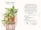 Houseplants and Their Fucked-Up Thoughts by Carlyle Christoff: Hardcover; 96 pages / English