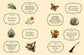 Green Witch's Sticker Book by Arin Murphy-Hiscock: Paperback; 144 pages / English