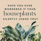 Houseplants and Their Fucked-Up Thoughts by Carlyle Christoff: Hardcover; 96 pages / English