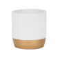 Aurone Round Ceramic Pot with Gold Finished Base - White: Small