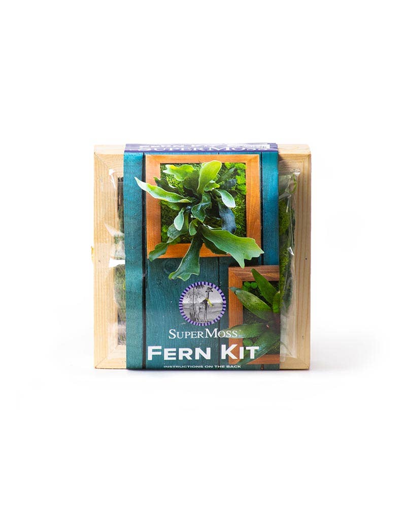 Mounted Fern Kit: 6x6