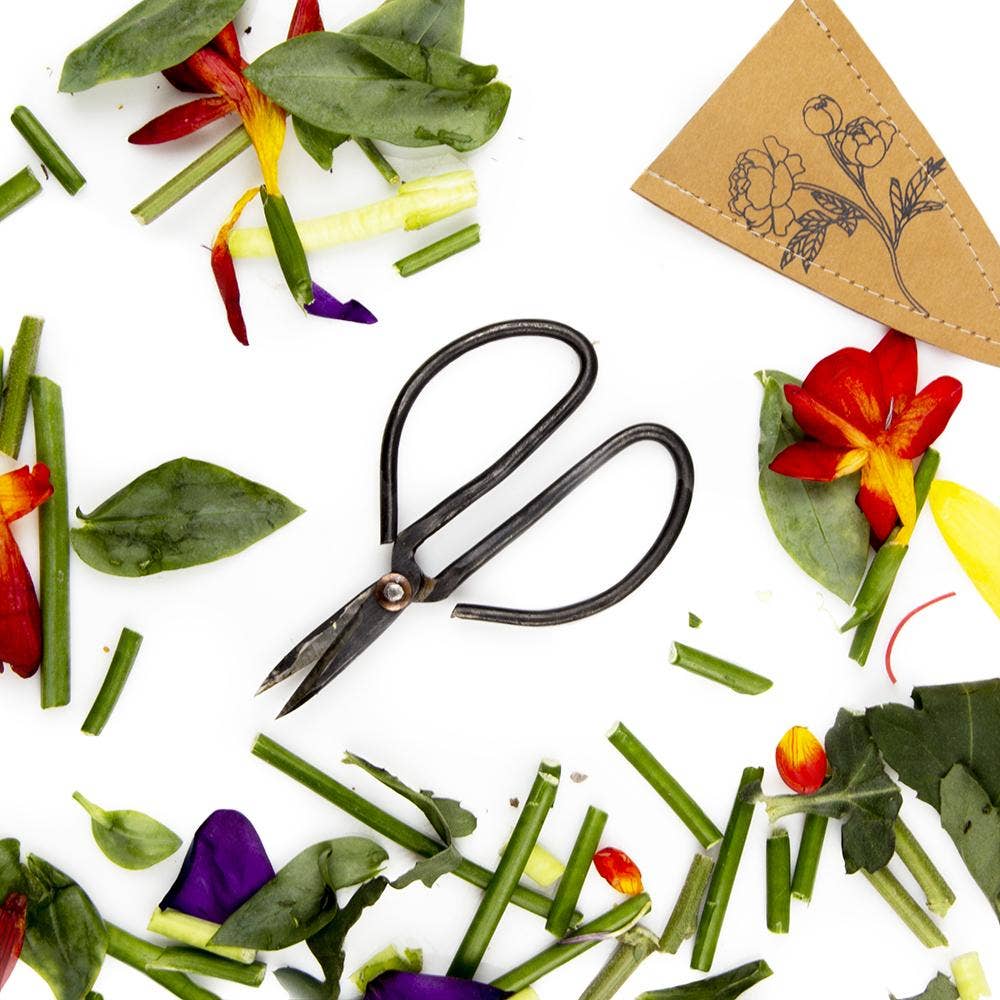Plant Pruning Scissors - Edward Ikebana Garden Shears