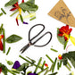 Plant Pruning Scissors - Edward Ikebana Garden Shears