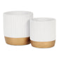 Aurone Round Ceramic Pot with Gold Finished Base - White: Small