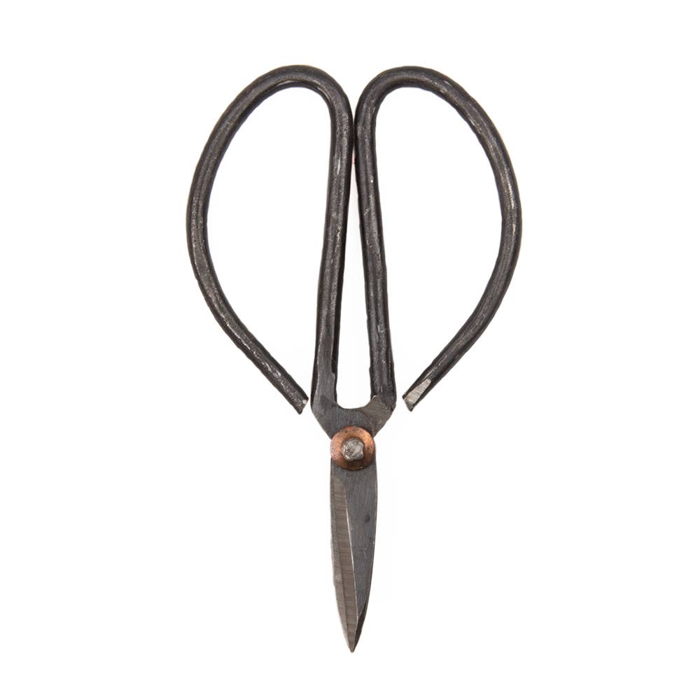 Plant Pruning Scissors - Edward Ikebana Garden Shears