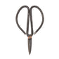 Plant Pruning Scissors - Edward Ikebana Garden Shears