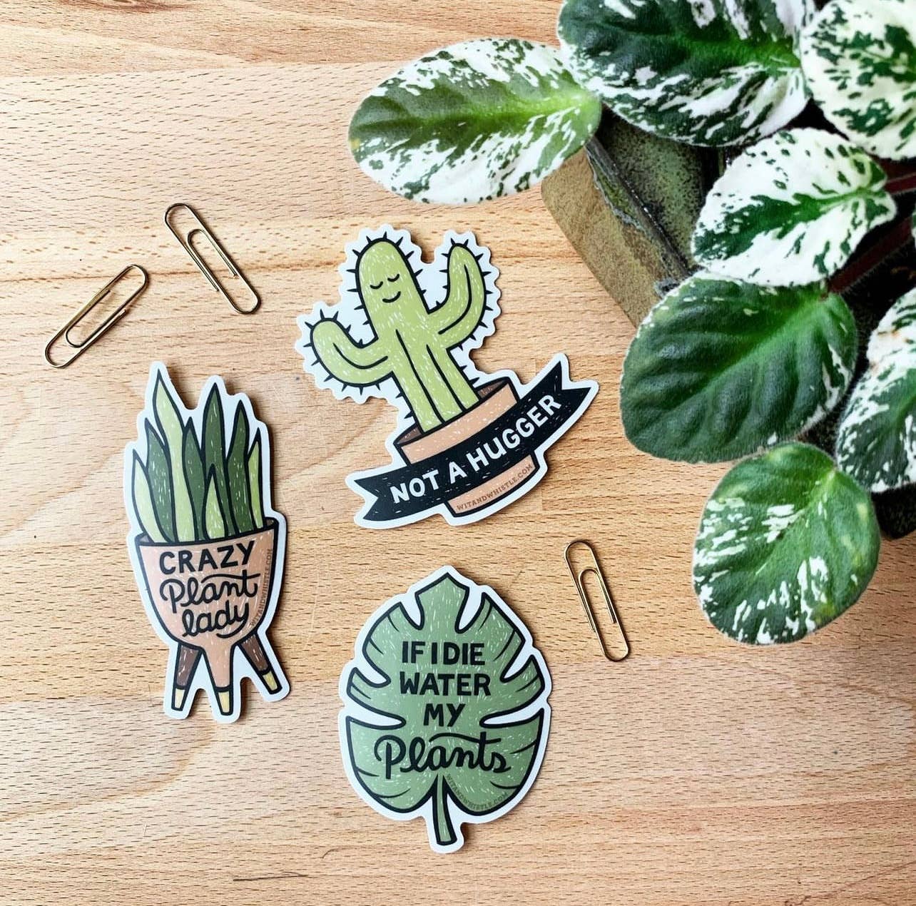 Sticker - Water My Plants