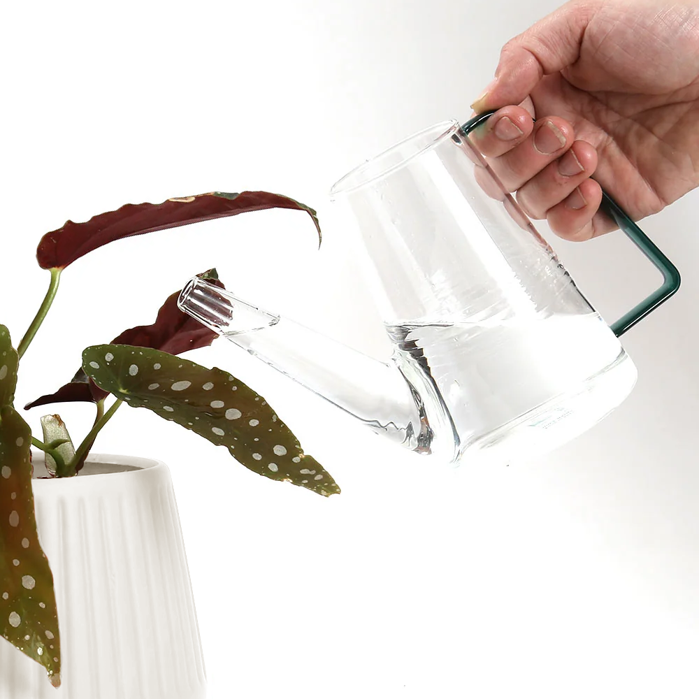 Colorful Glass Plant Watering Can: Green