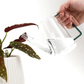 Colorful Glass Plant Watering Can: Green