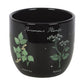 Poisonous Plants Gothic Botanical Plant Pot