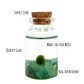 Tiny Marimo Moss Ball Terrarium with Aventurine Gemstones: Single