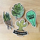 Sticker - Water My Plants