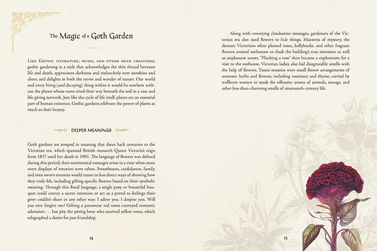 Goth Garden by Felicia Feaster: Hardcover; 192 pages / English