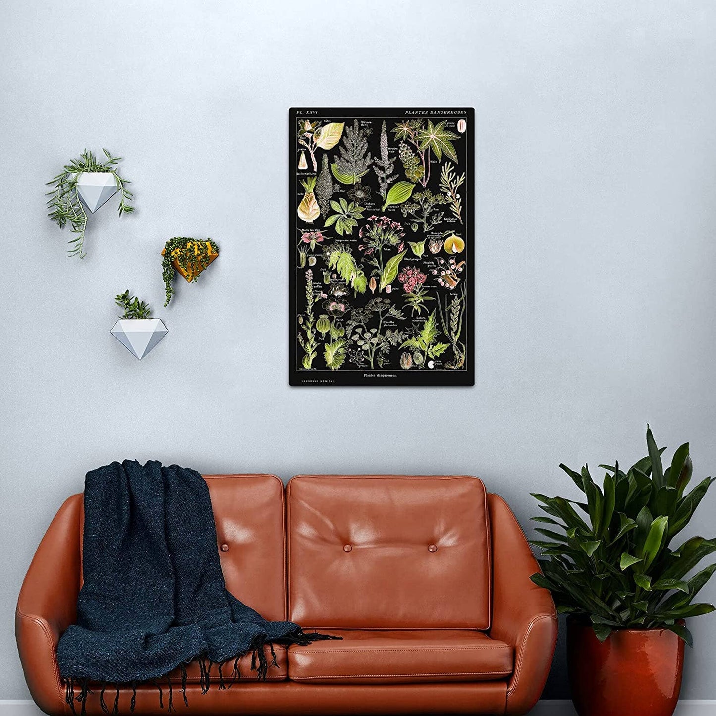Dangerous Plants A (Plantes Dangereuses A) by Adolphe Millot: 11x17 Inches