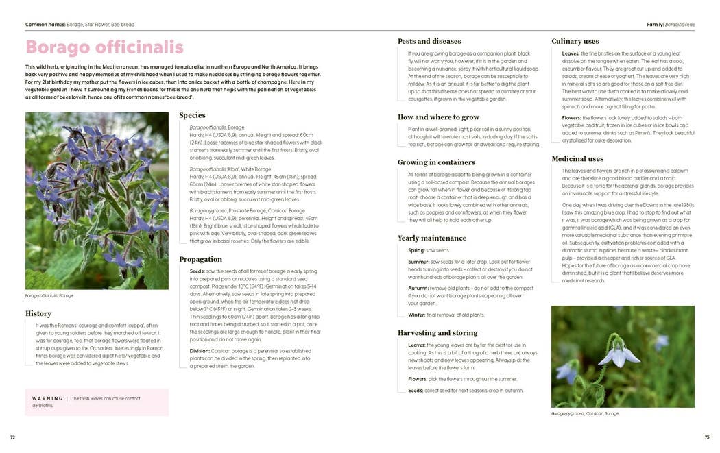 100 Herbs to Grow