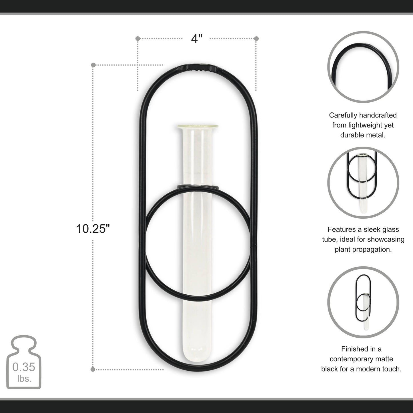 Sephra Metal Loop Glass Wall Planter: Black