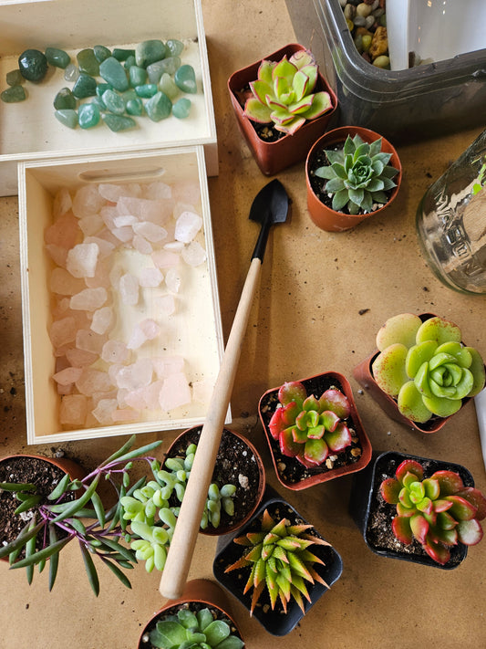 Open Terrarium Make and Take