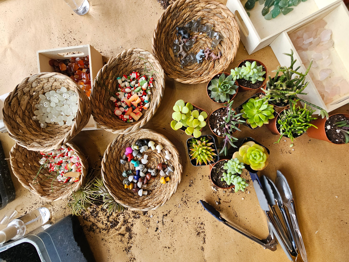 Open Terrarium Make and Take