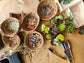 Open Terrarium Make and Take