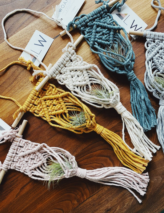 DIY Macrame Kit, airplant hanger
