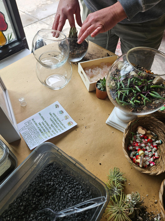 Open Terrarium Make and Take